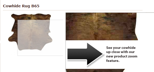 Product Zoom Feature