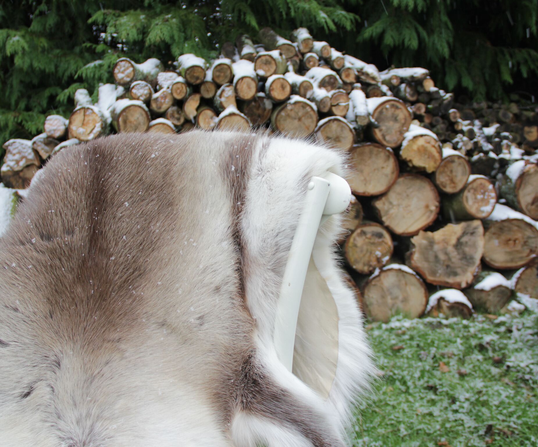 Reindeer Hide Rug